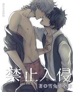 《禁止入侵》