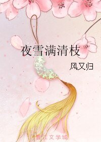 夜雪滿清枝