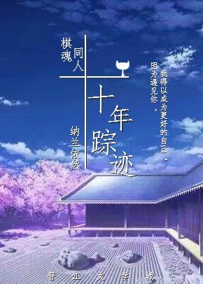 (棋魂同人)棋魂同人之十年踪迹