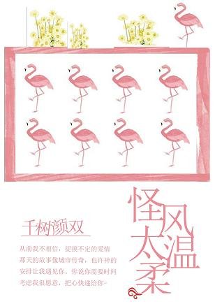 怪风太温柔