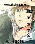 坏蛋之英雄本色