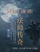 《异世逐鹿之法师传奇》