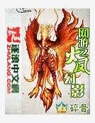 《网游之火凤幻影》