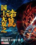 國士無雙之諸葛