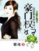 误惹黄金单身汉:豪门权妇