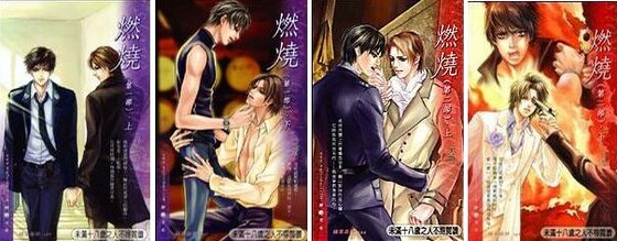 燃烧(出书版)