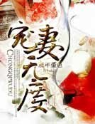 《宠妻无度》