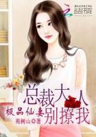 《极品仙妻:总裁大人别撩我》