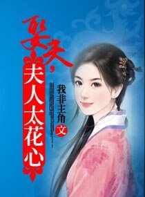 《娶夫,夫人太花心》