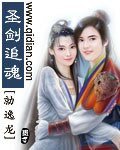 《圣剑追魂》