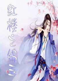 《(红楼同人)红楼之锦玉》
