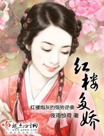 《(红楼同人)红楼多娇》