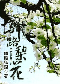《(倚天同人)驿路梨花》