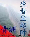 坐看塵起時