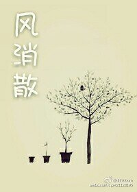 《今夕景明/风消散》