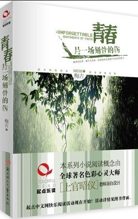 《青春是一场刻骨的伤》