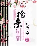 《抢亲冷王爷》