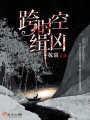 《跨时空缉凶》