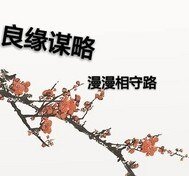 《良缘谋略漫漫相守路》