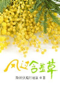 《风过含羞草》