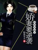 《铁骨英姿之娇妻要逆袭》