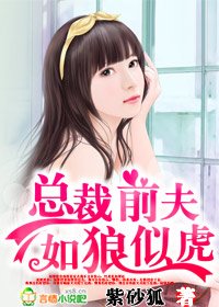 總裁前夫，如狼似虎