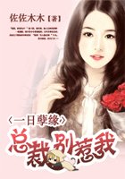 《一日孽缘:总裁别惹我》