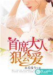 《首席大人,狠会爱》