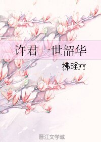许君一世韶华