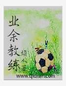 业余教练