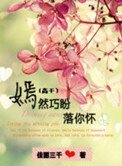 《嫣然巧盼落你怀(高干)》