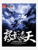 《霸武凌天》