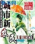 城市新農民