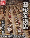 《超级杂货店》