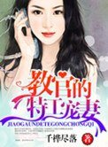 《教官的特工宠妻》