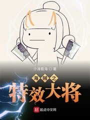 《海贼之特效大将》