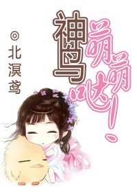 神鸟萌萌哒!