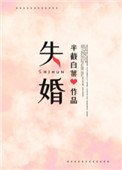 《失婚(作者:半截白菜)》