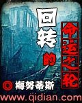回转的命运之轮