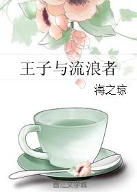 《王子与流浪者》