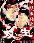 《风起云涌之双生》