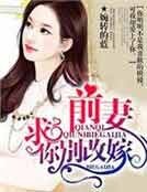 《前妻,求你别改嫁》