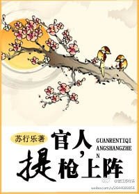 《官人,提槍上陣》