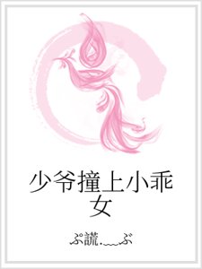 少爺撞上小乖女