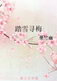 《踏雪寻梅》