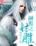 《颠覆之射雕》