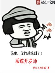 《系统开发师》