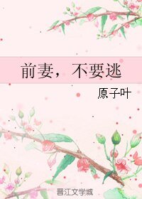 《前妻,不要逃》