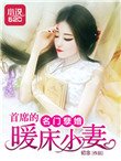 名門孽婚：首席的暖床小妻