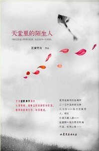 天堂裡的陌生人（出書版）